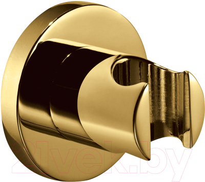 Душевой держатель Omnires 8873AGL - фото