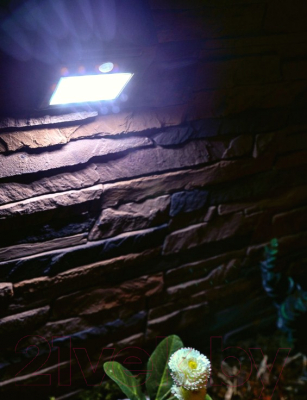 Бра уличное Uniel Sensor USL-F-163/PT120 / UL-00003134