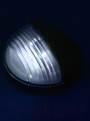 Бра уличное Uniel Bright USL-F-151/PТ110 / UL-00006556