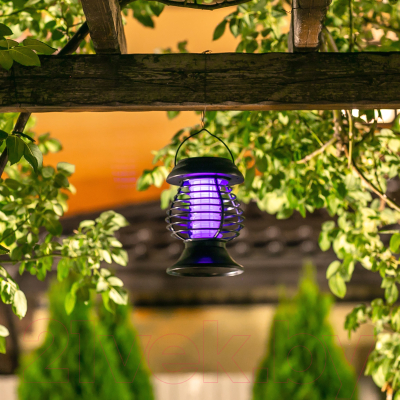 Светильник уличный Uniel Bug Zapper USL-F-300/PМ310 / UL-00006537