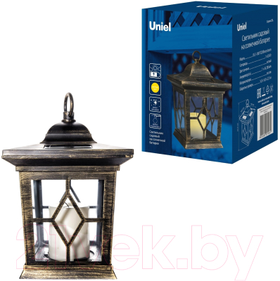 Светильник уличный Uniel Special USL-S-180/PT220 / 10227