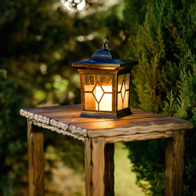 Светильник уличный Uniel Special USL-S-180/PT220 / 10227