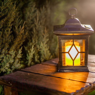 Светильник уличный Uniel Special USL-S-180/PT220 / 10227