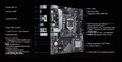 Материнская плата Asus Prime B560M-K