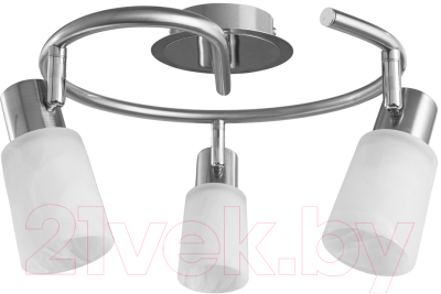 Спот Arte Lamp Cavalletta A4510PL-3SS