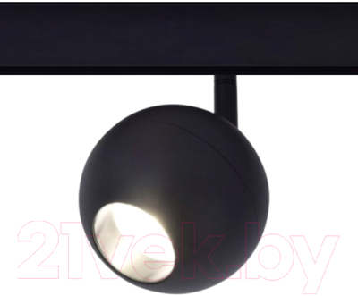 Потолочный светильник ST Luce Bole ST354.446.12 - фото