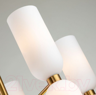 Люстра FAVOURITE Amusing 2876-5P