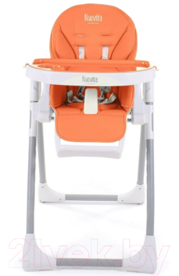 Стульчик для кормления Nuovita Grande