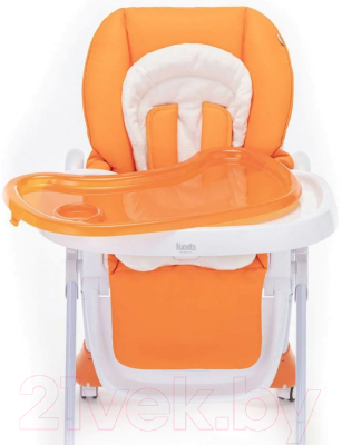Стульчик для кормления Nuovita Pratico