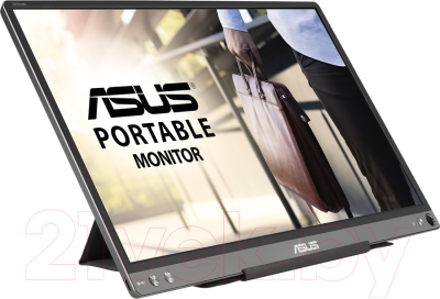 Монитор Asus Portable MB16ACE