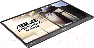 Монитор Asus Portable MB16ACE