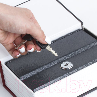 Книга-сейф Brauberg К. Маркс Капитал / 291049