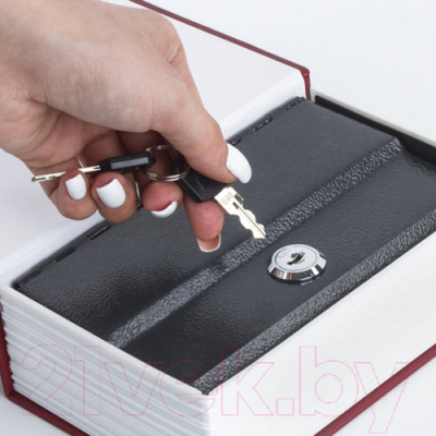 Книга-сейф Brauberg Остров сокровищ / 291050