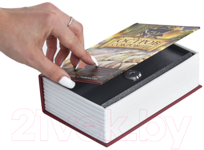 Книга-сейф Brauberg Остров сокровищ / 291050