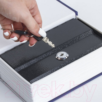 Книга-сейф Brauberg Атлас мира / 291051