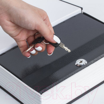 Книга-сейф Brauberg Экономическая мысль античности / 291053