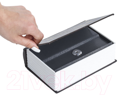 Книга-сейф Brauberg Царская казна / 291055