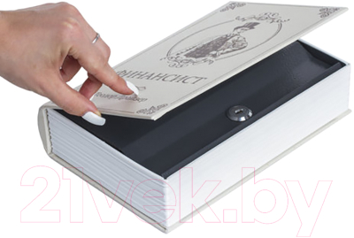 Книга-сейф Brauberg Финансист / 291057