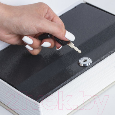 Книга-сейф Brauberg Финансист / 291057