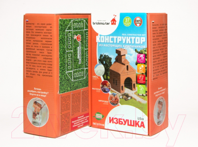 Конструктор Brickmaster Избушка / 601 (37эл)