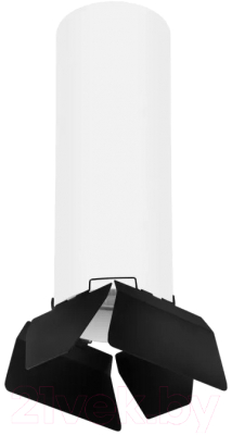 Точечный светильник Lightstar Rullo R6496487 - фото