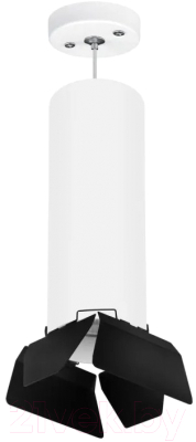 Потолочный светильник Lightstar Rullo RP6496487 - фото