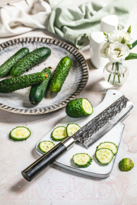 Нож Samura Blacksmith SBL-0043