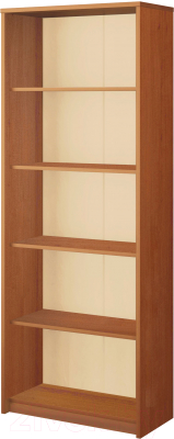 Стеллаж Программа Техно Арго А-306 - фото