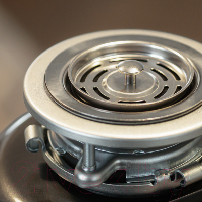 Измельчитель отходов Bort Titan Max Power Full Control (93410266)