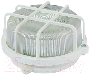 Светильник для подсобных помещений TDM SQ0311-0001 - фото