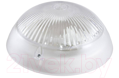 Светильник ЖКХ TDM Сириус SQ0311-0009 - фото