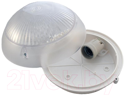 Светильник ЖКХ TDM Сириус SQ0311-0009