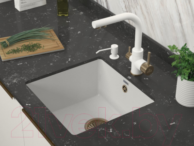 Мойка кухонная Paulmark PM104546-WH