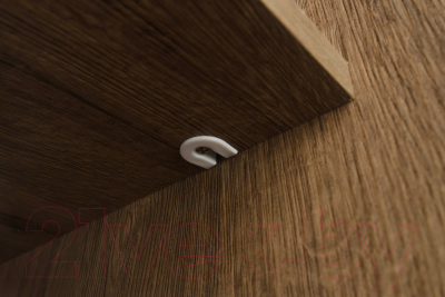 Шкаф-купе Рэйгрупп B 120 VVH Bromo РГ-12.02 (дуб велингтон/черный матовый)