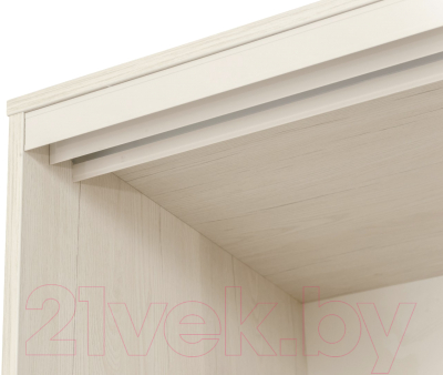 Шкаф-купе Рэйгрупп B 120 BBB Bromo РГ-12.01 (дуб бордо лайт/белый матовый)