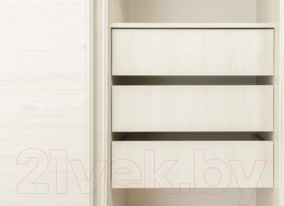 Шкаф-купе Рэйгрупп B 120 BBB Bromo РГ-12.03 (дуб бордо лайт/белый матовый)