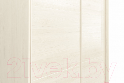 Шкаф-купе Рэйгрупп B 120 BBB Bromo РГ-12.03 (дуб бордо лайт/белый матовый)