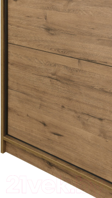 Шкаф-купе Рэйгрупп B 237 VVH Bromo РГ-07.03 (дуб велингтон/черный матовый)