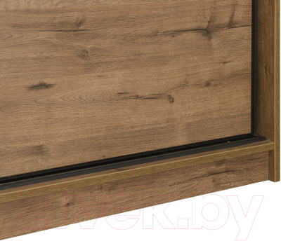 Шкаф-купе Рэйгрупп B 207 VVH Bromo РГ-08.01 (дуб велингтон/черный матовый)