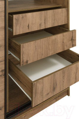 Шкаф-купе Рэйгрупп B 207 VVH Bromo РГ-08.02 (дуб велингтон/черный матовый)