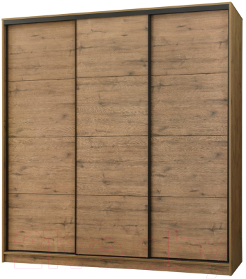 Шкаф-купе Рэйгрупп B 207 VVH Bromo РГ-08.03 (дуб велингтон/черный матовый) - фото