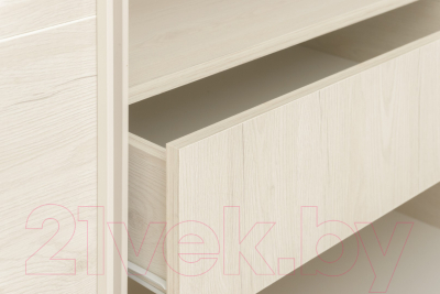 Шкаф-купе Рэйгрупп B 237 BBB Bromo РГ-07.02 (дуб бордо лайт/белый матовый)