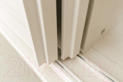 Шкаф-купе Рэйгрупп B 237 BBB Bromo РГ-07.03 (дуб бордо лайт/белый матовый)