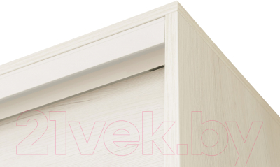 Шкаф-купе Рэйгрупп B 207 VVH Bromo РГ-08.02 (дуб бордо лайт/белый матовый)