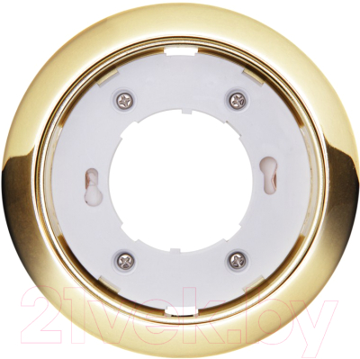 Точечный светильник JAZZway 1016867