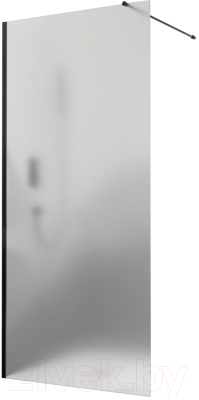 Душевая стенка RGW WA-010B / 351001008-24 - фото