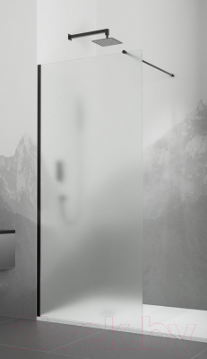 Душевая стенка RGW WA-010B / 351001008-24
