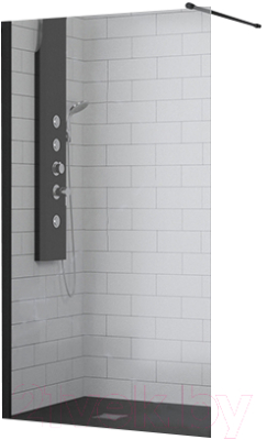 Душевая стенка RGW WA-010B / 351001010-14 - фото
