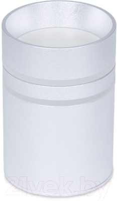 Точечный светильник Ambrella TN236 SL/S