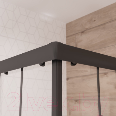 Душевой уголок Niagara NG-0180-14 80x80x195